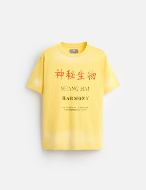 OVERSIZED T-SHIRT - Image 5
