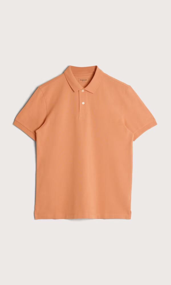SOLID POLO T-SHIRT - Image 2